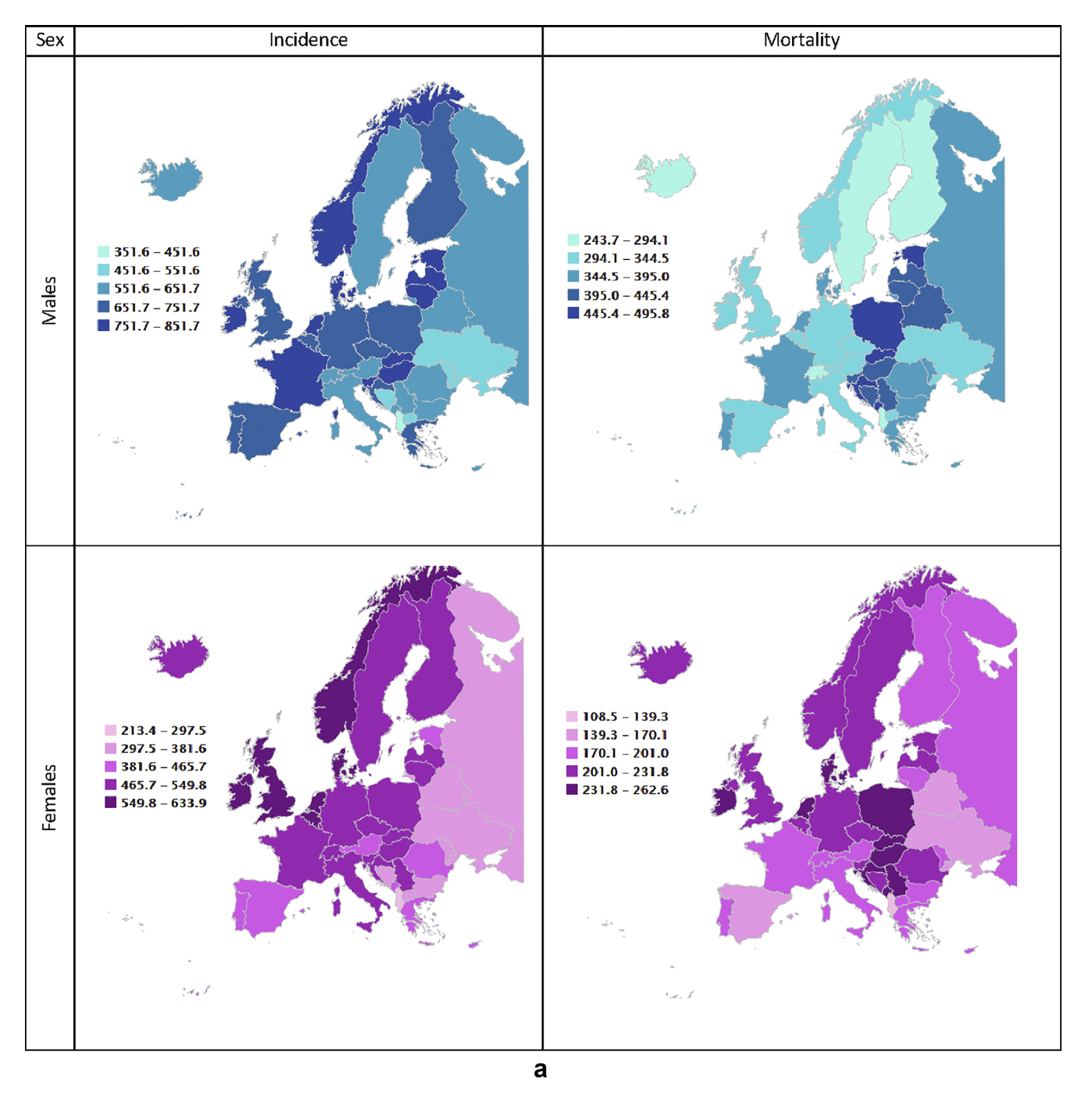 Talk's display image