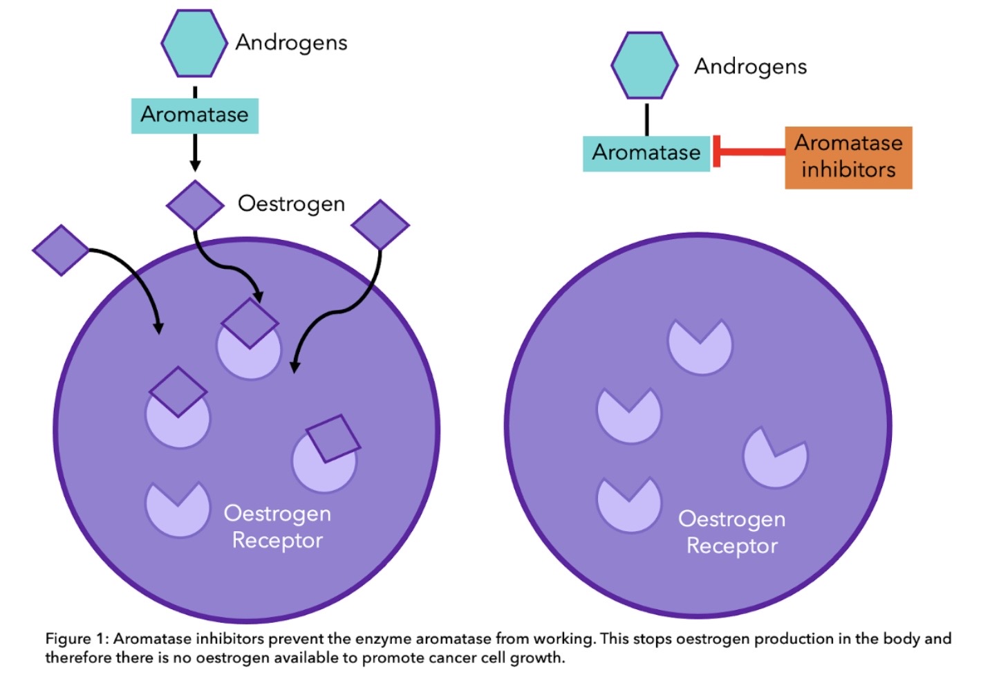 Talk's display image