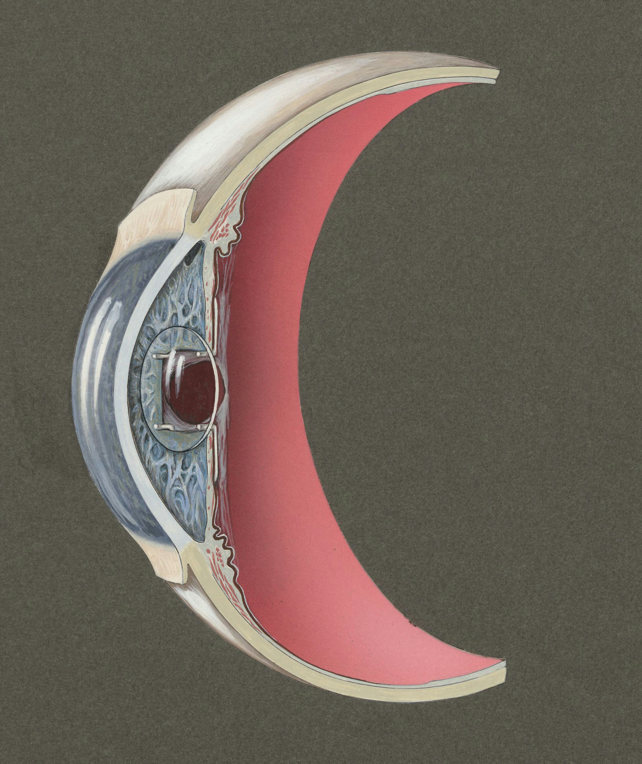 Talk's display image