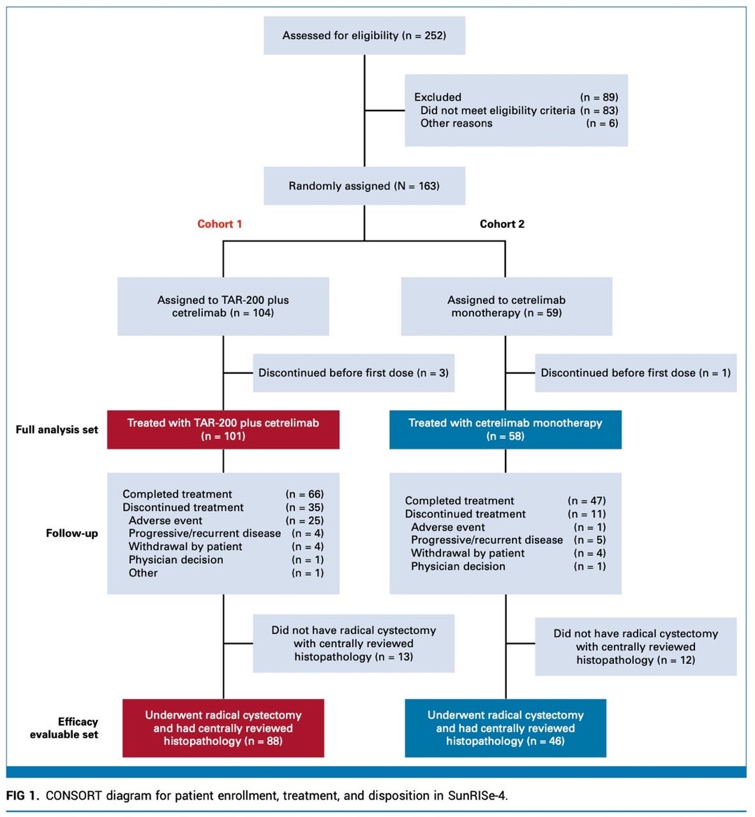 Talk's display image