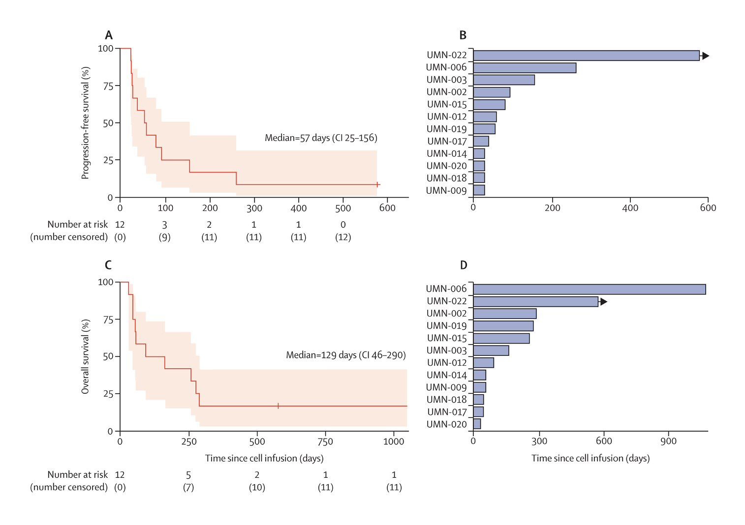 Talk's display image