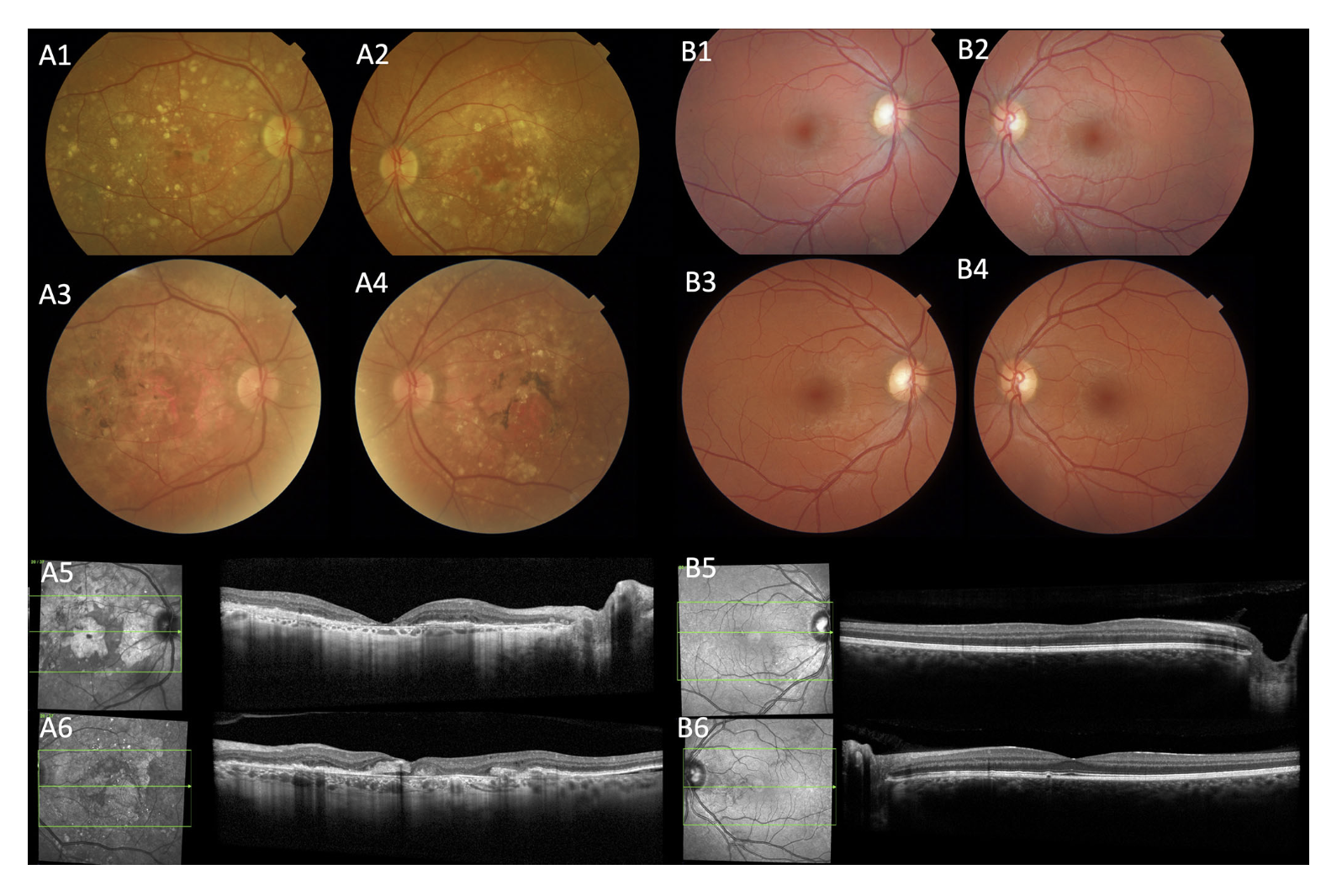 Talk's display image