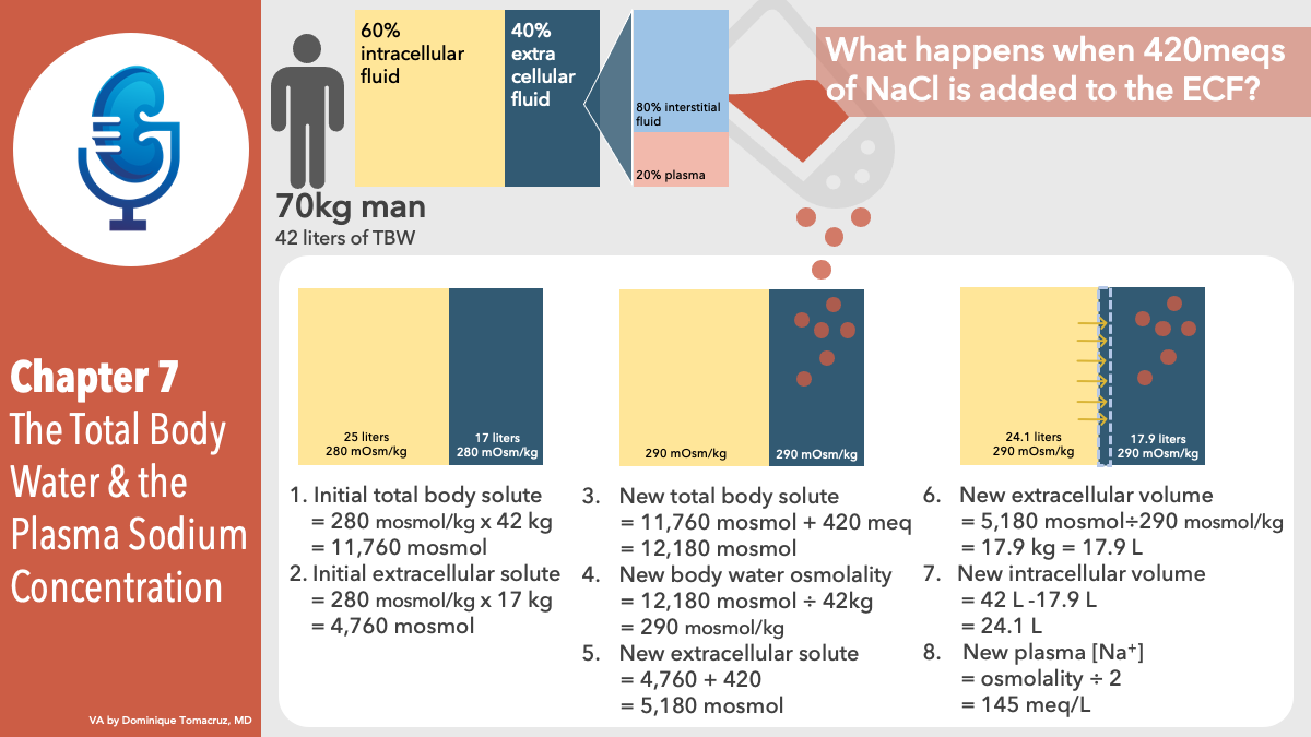 Talk's display image