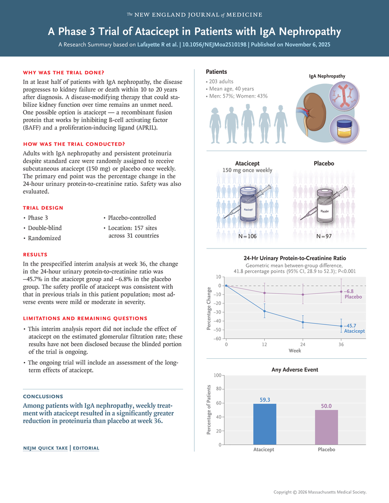 Talk's display image