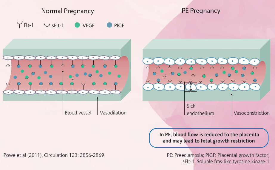 Talk's display image