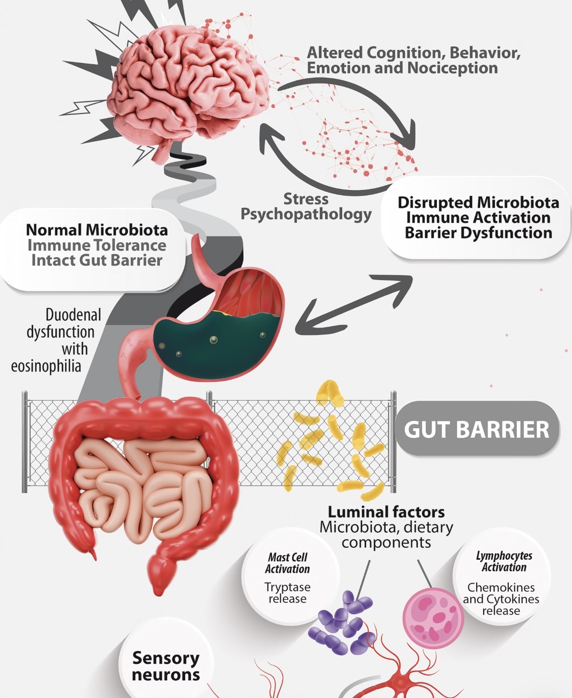 Talk's display image