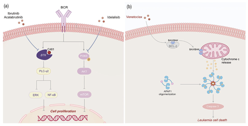 Talk's display image