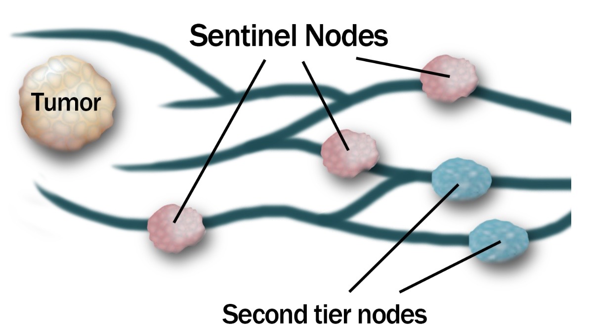 Talk's display image