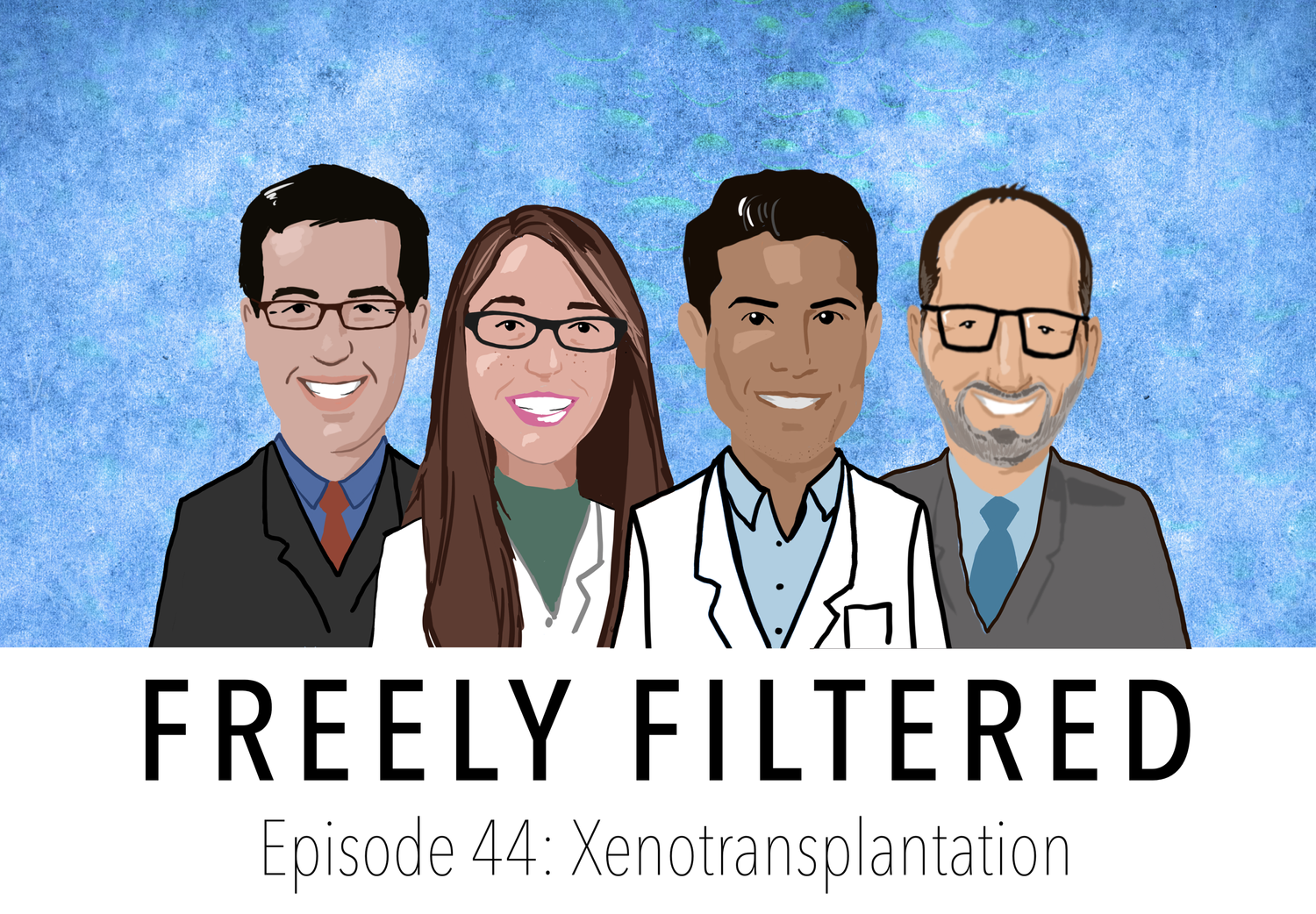 Talk's display image