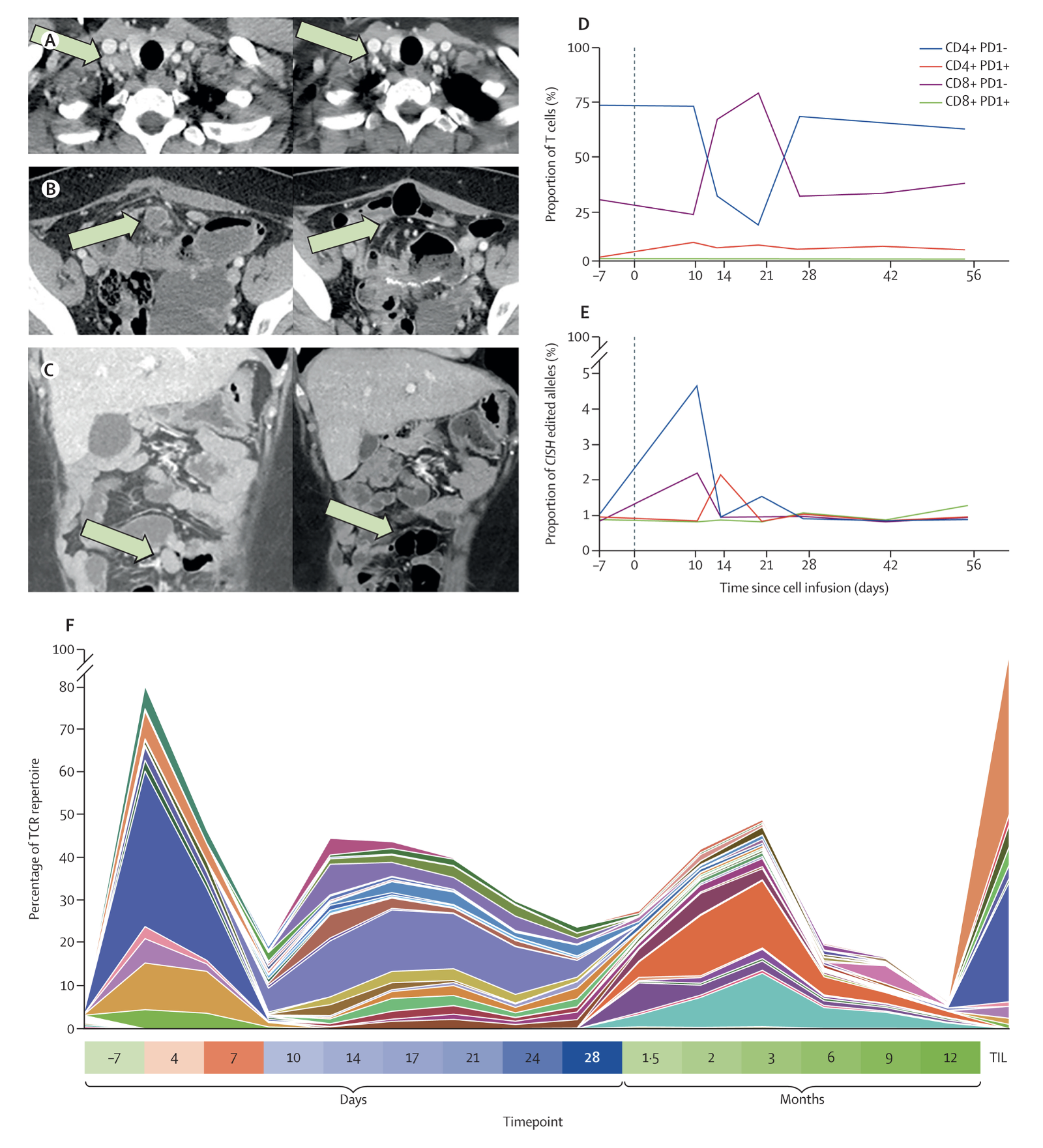 Talk's display image