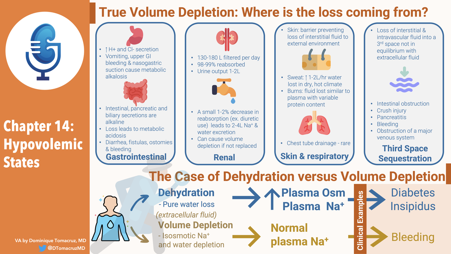 Talk's display image