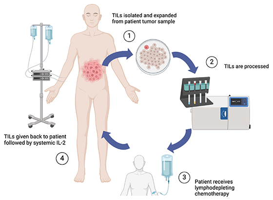 Talk's display image