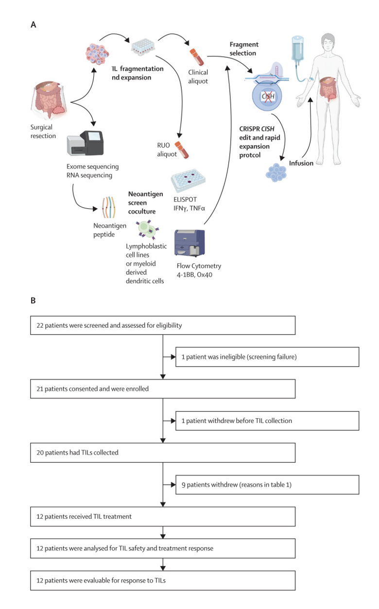 Talk's display image