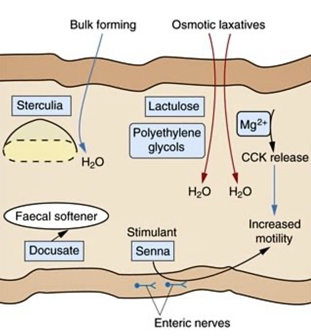 Talk's display image