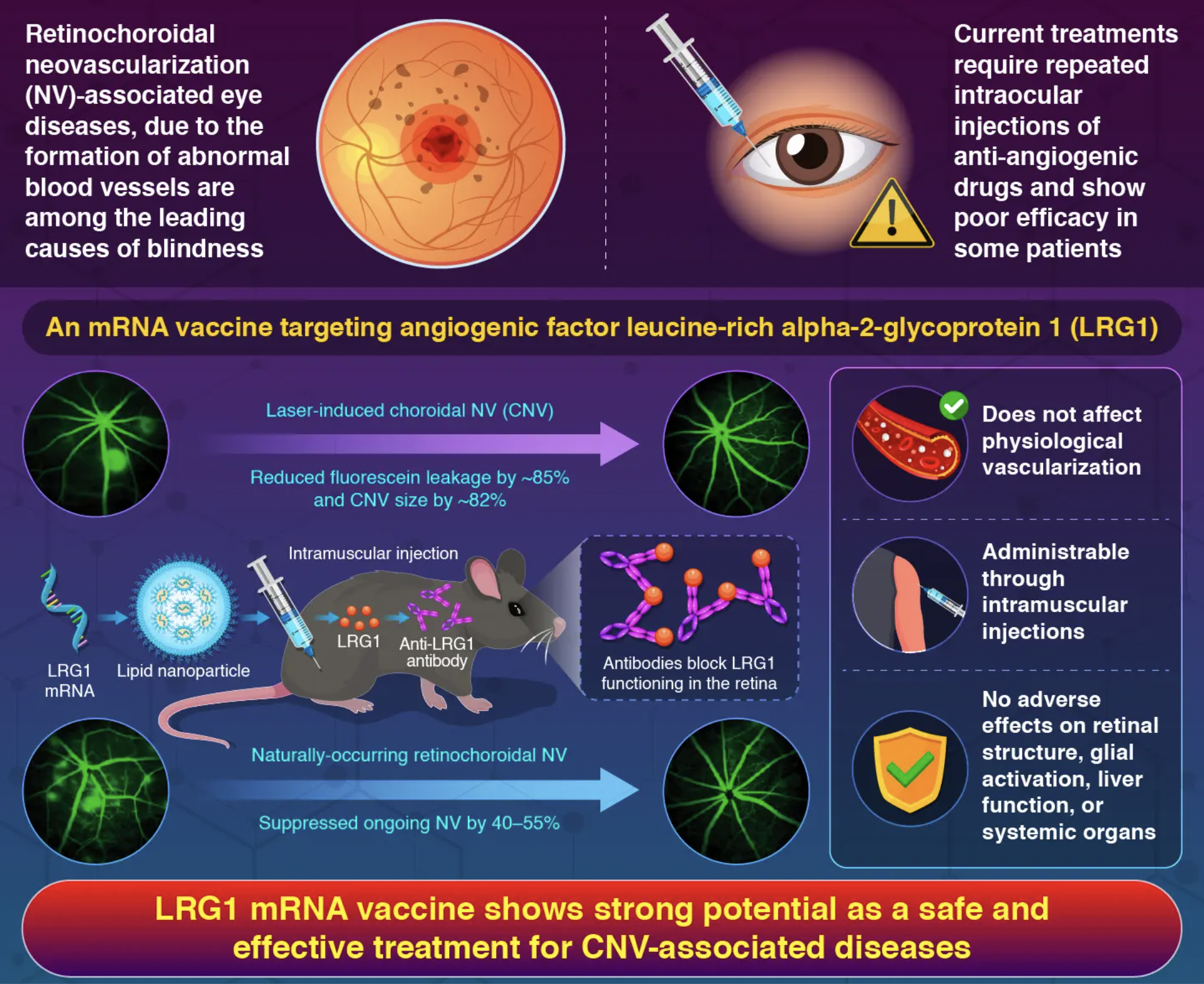 Talk's display image