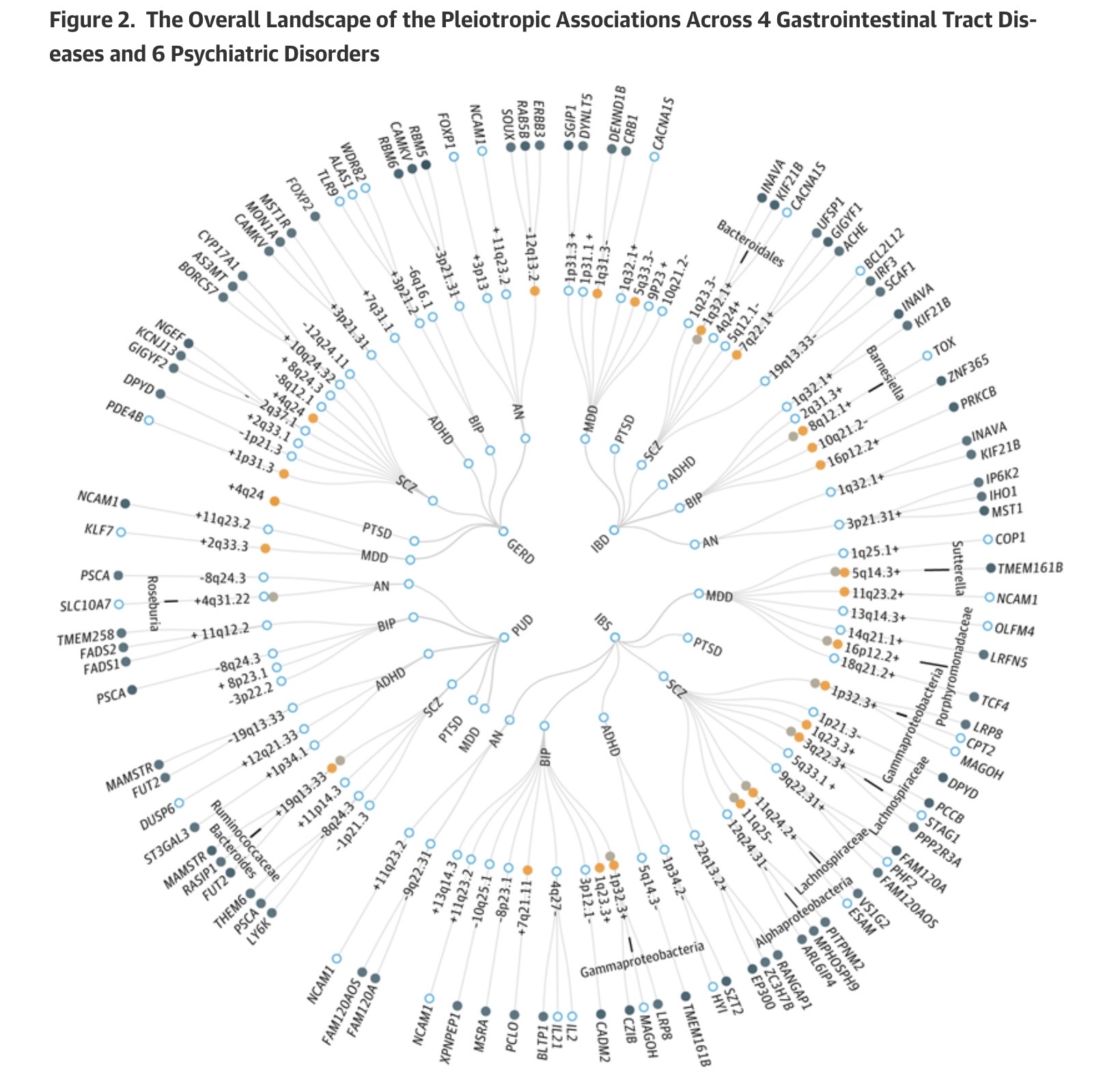 Talk's display image