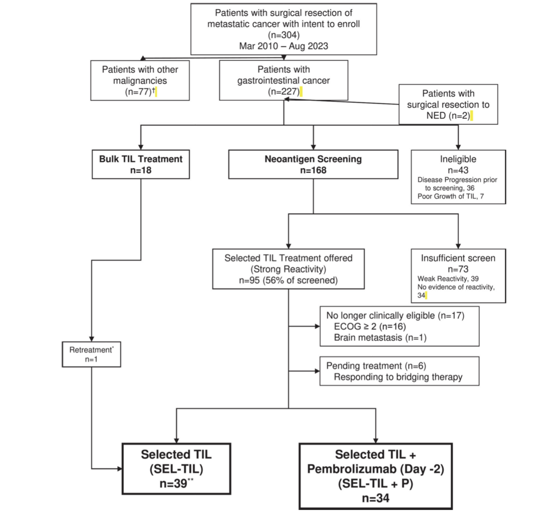 Talk's display image