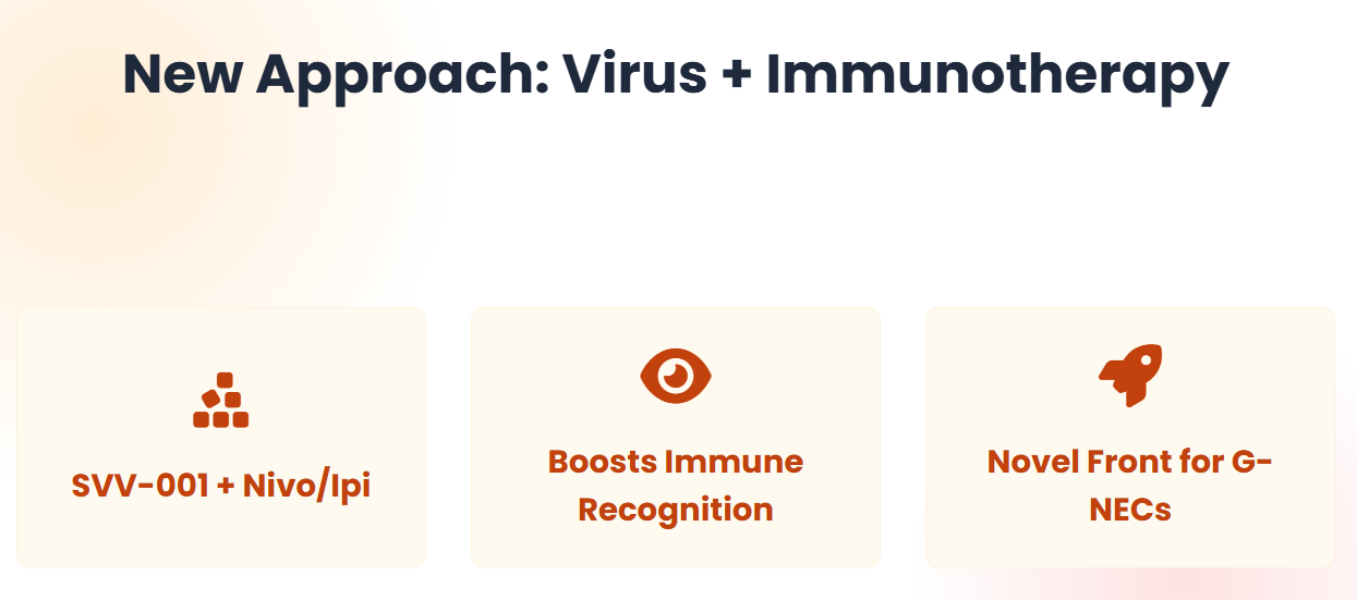 Talk's display image