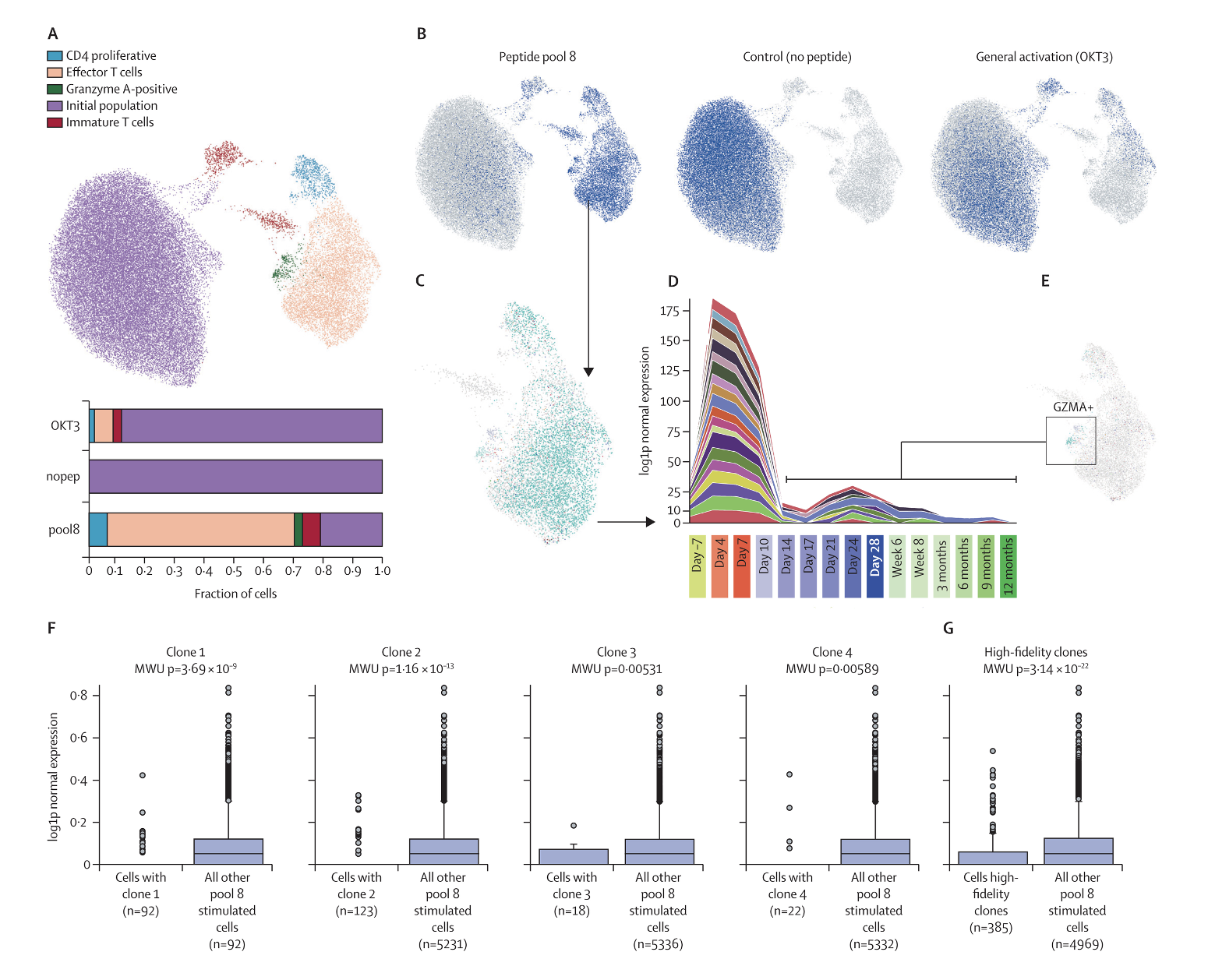 Talk's display image