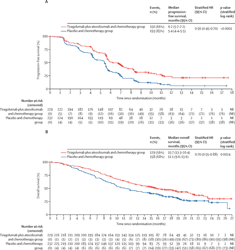 Talk's display image