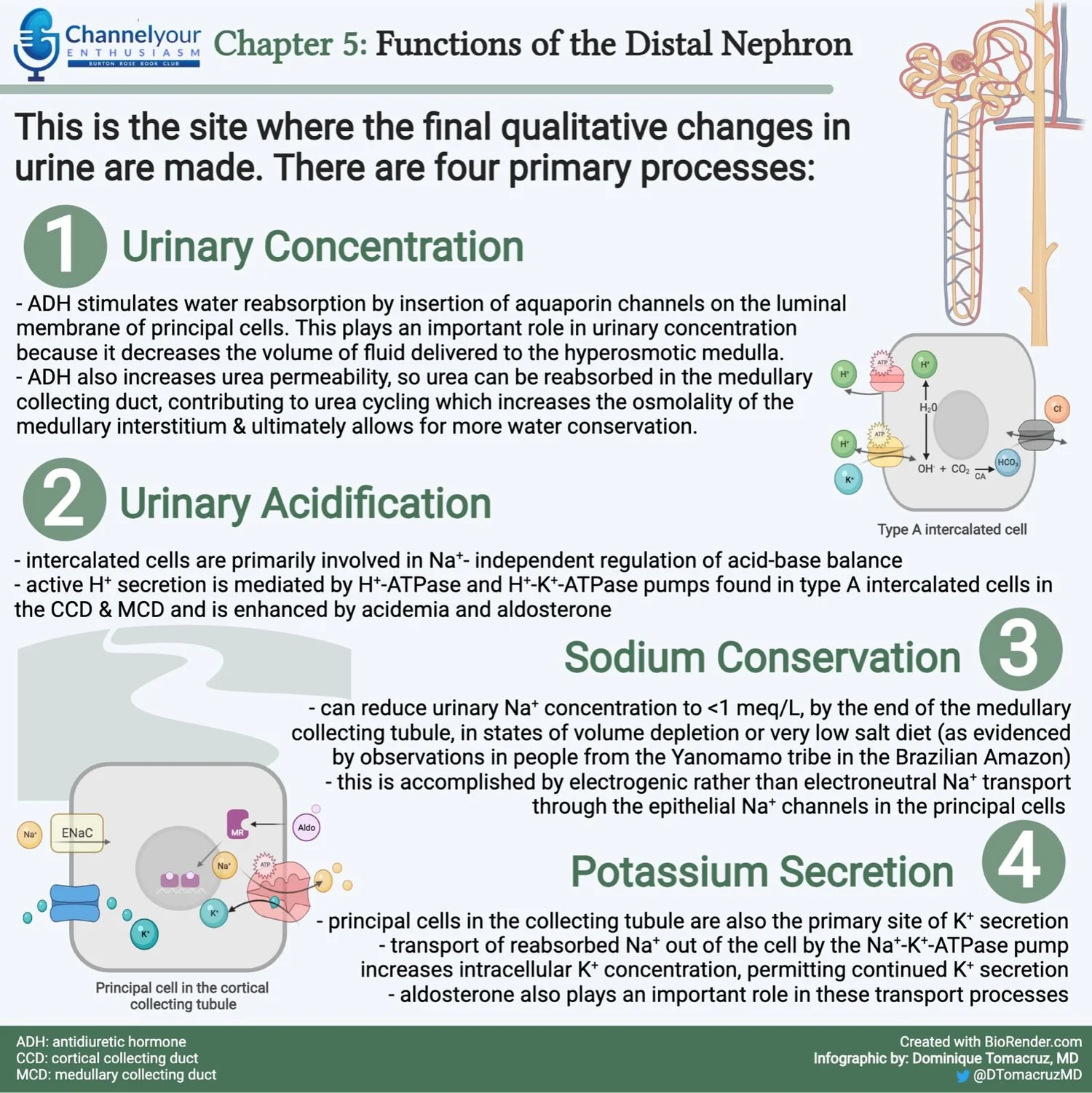 Talk's display image