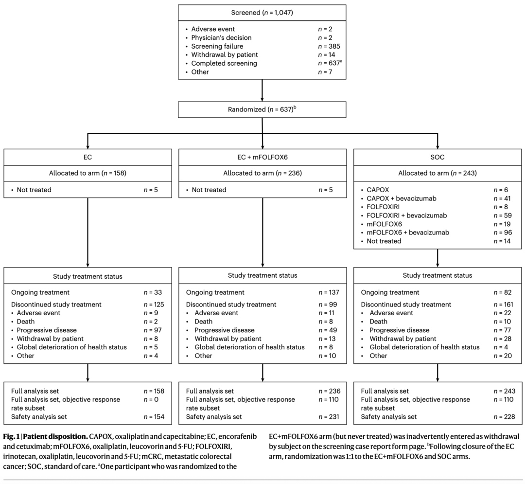 Talk's display image