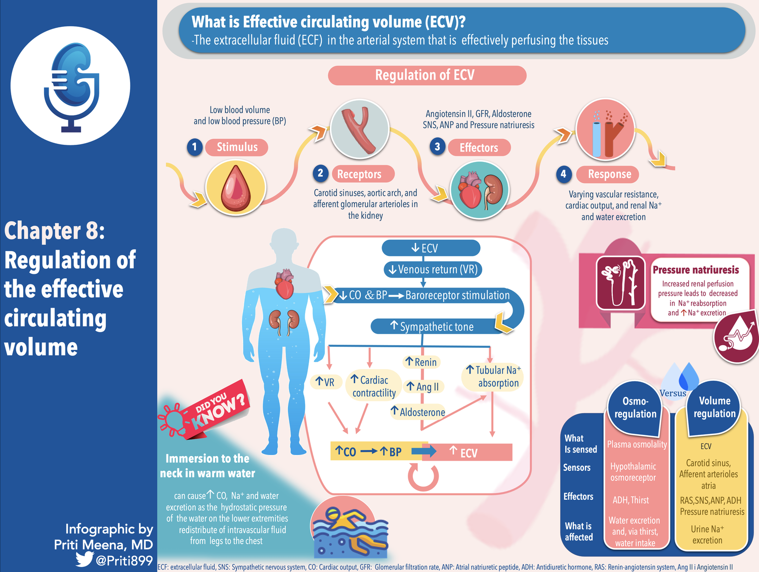 Talk's display image