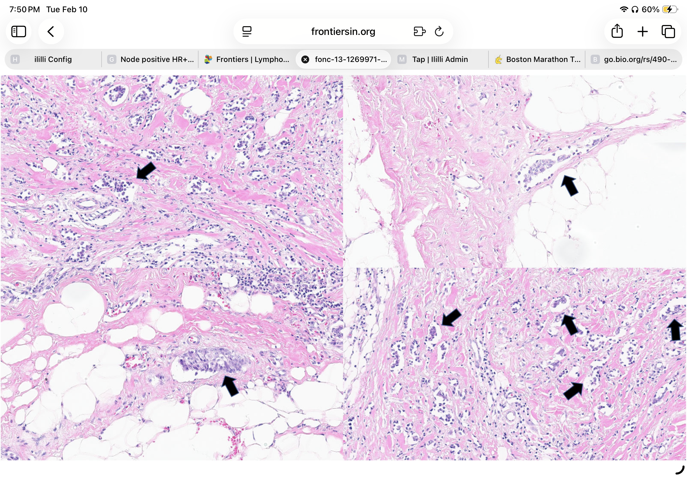 Talk's display image