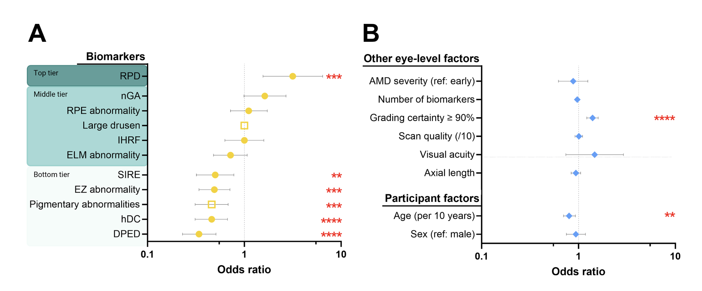 Talk's display image