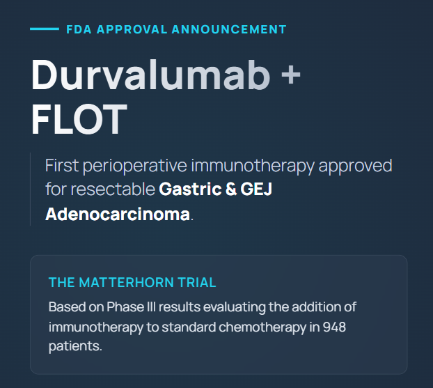 Talk's display image