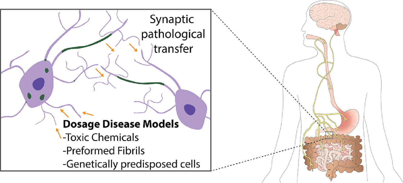 Talk's display image