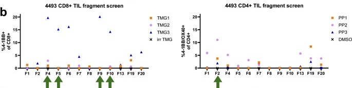 Talk's display image