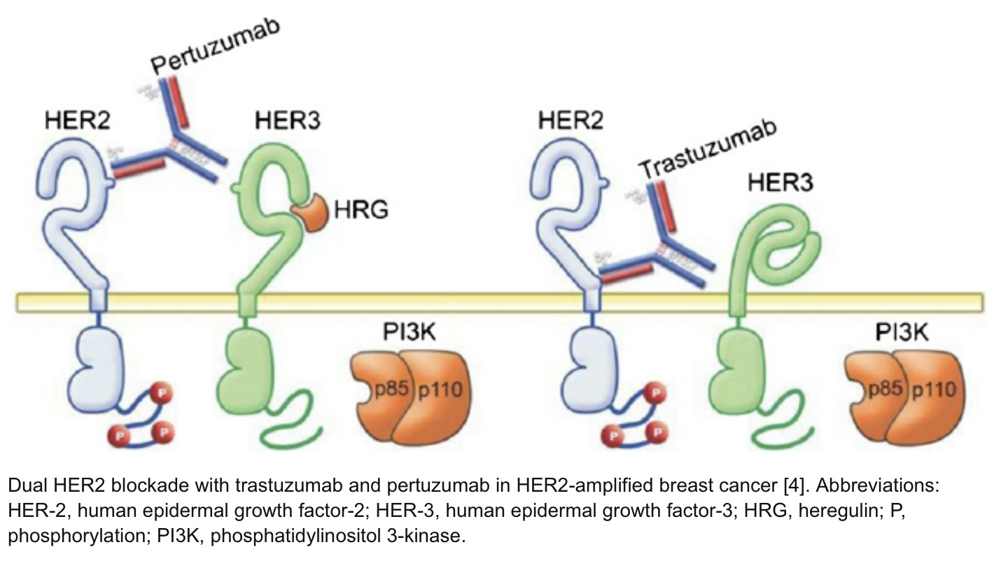 Talk's display image