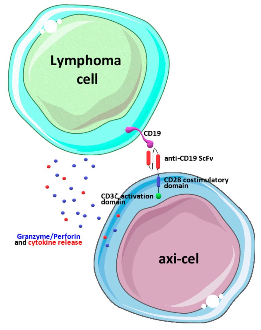 Talk's display image