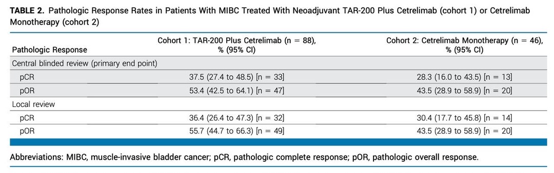 Talk's display image