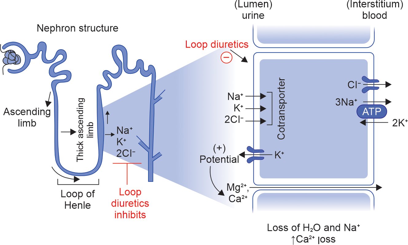 Talk's display image