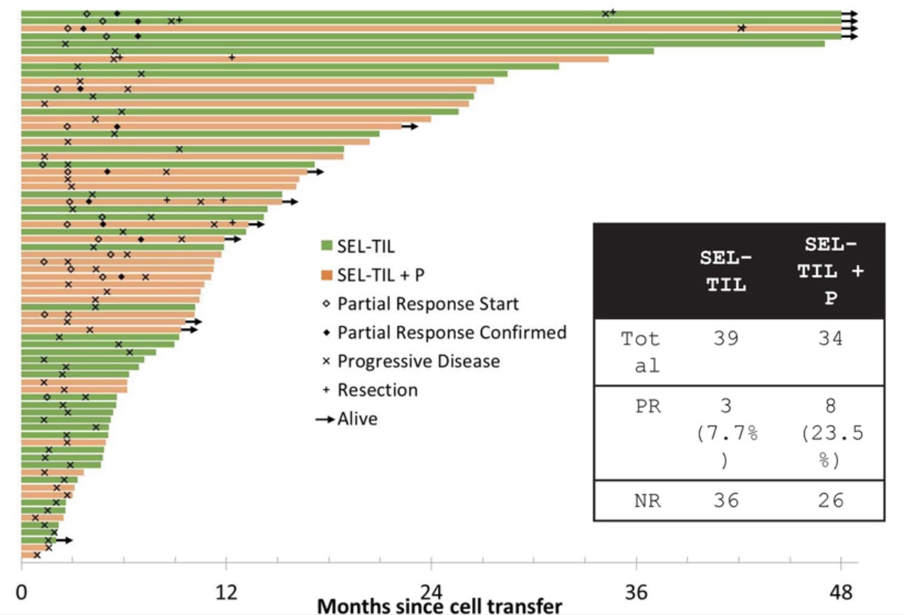 Talk's display image