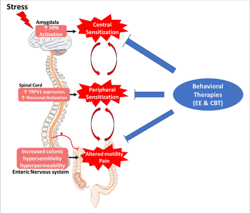 Talk's display image