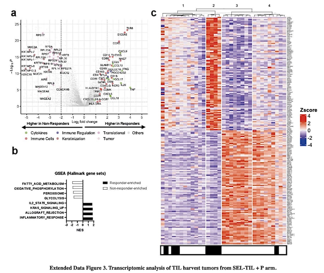 Talk's display image