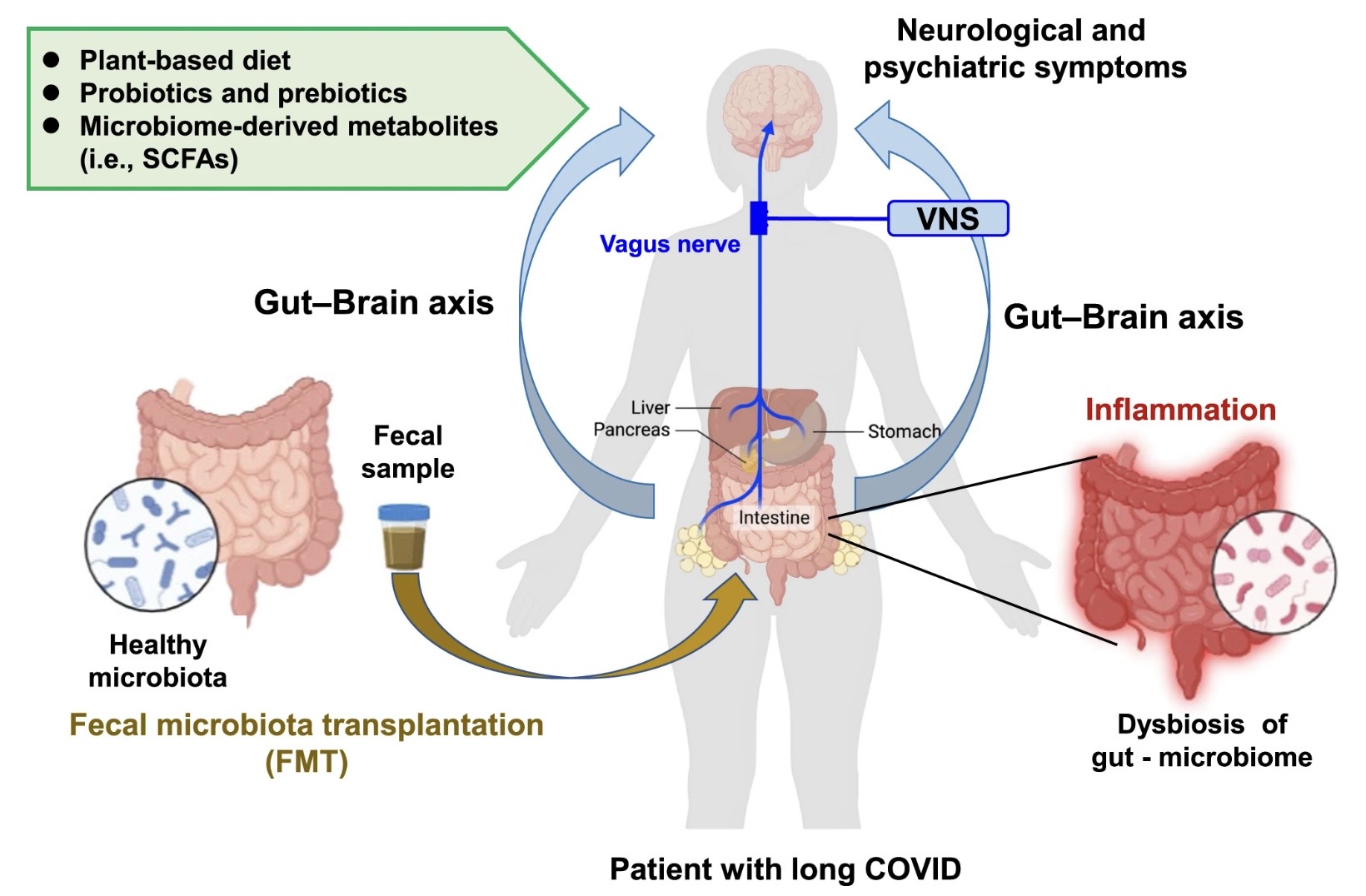 Talk's display image